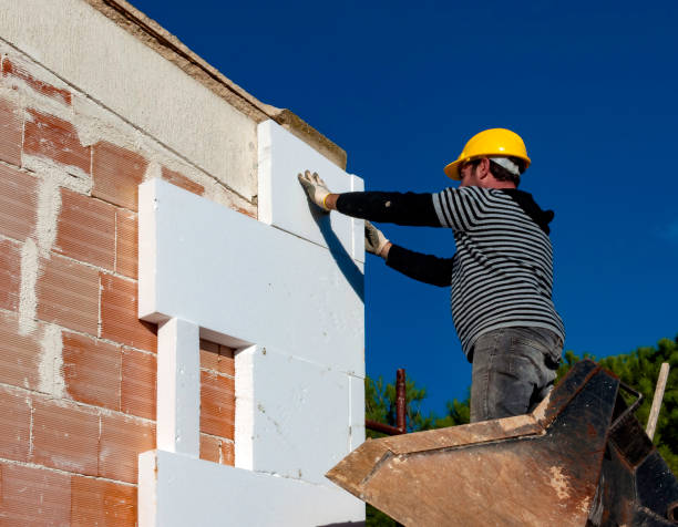 Best Insulation Removal  in Ashland, IL