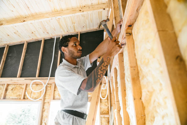 Best Insulation for New Construction  in Ashland, IL